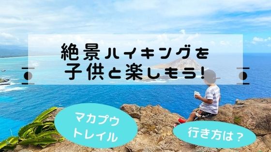 子供と一緒にハイキングに行くならマカプウトレイル 子連れにおすすめな理由４つ もっともっとハワイ もっとハワイを楽しもう