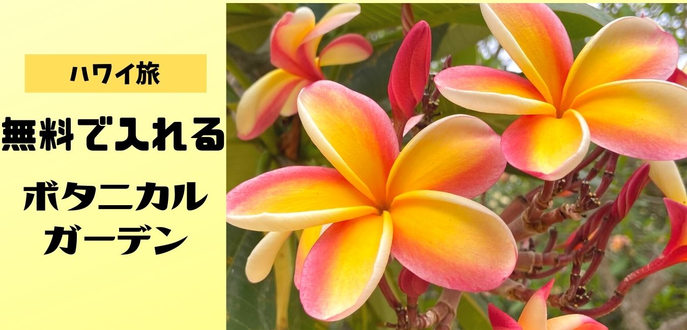 無料でハワイのお花がたくさん見られる観光スポット もっともっとハワイ もっとハワイを楽しもう